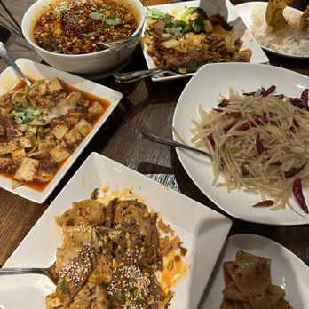 Dan Dan - Spicy & Sour Shredded Potatoes* Vegetarian Mapo Tofu** Dan Dan Noodles*** Cumin Dish*** Sichuan Style Hot and Sour Glass Noodles***** - Szechuan Near Me - Philadelphia, Pennsylvania