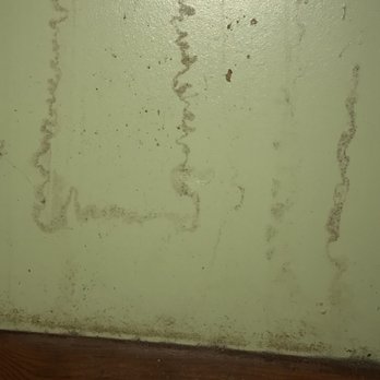 Home Check Inspection Services - More mold - Home Inspectors Near Me - New Orleans, Louisiana Home Check Inspection Services - More mold - Home Inspectors Near Me - New Orleans, Louisiana