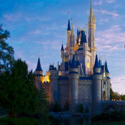 Amber's Adventures and Getaways - Disney World