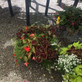 Forever Green - Nurseries & Gardening Near Me - Coralville, Iowa Forever Green - Nurseries & Gardening Near Me - Coralville, Iowa