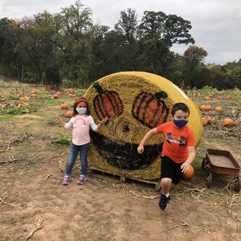 Brookfield Pumpkins - Pumpkin Patches Near Me - Thurmont, Maryland