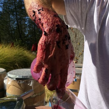 Hunnicutt Winery - Some terrific wines being made here! - Wineries Near Me - Saint Helena, California Hunnicutt Winery - Some terrific wines being made here! - Wineries Near Me - Saint Helena, California