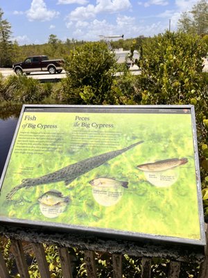 Big Cypress National Preserve by null