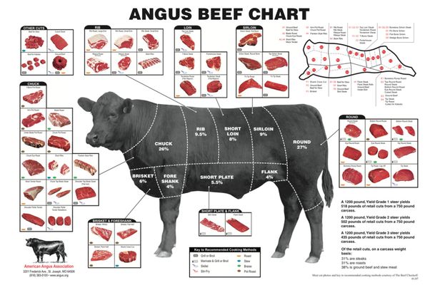 Grass Fed Beef 1/4, 1/2, & Full - All our beef is Steroids, Hormone, GMO, and Antibiotic FREE
Beef Packages sold by hanging weight: Grass Fed Beef 1/4, 1/2, & Full - All our beef is Steroids, Hormone, GMO, and Antibiotic FREE
Beef Packages sold by hanging weight:
