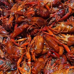 Boiled crawfish