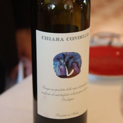 Cavallino
