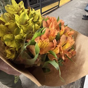 Rosehip Social - Freesias - Florists Near Me - Brooklyn, New York