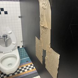 Lied Stem Academy - A weiner made of wet toilet paper