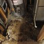 Photo of Guardian Sewers