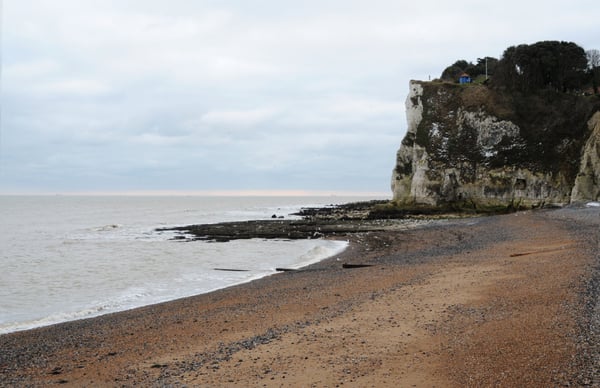 The Coastguard Pub by null