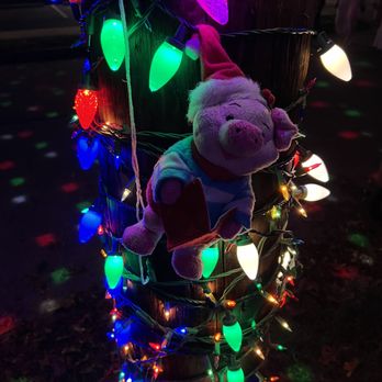 37th Street Lights - Local Flavor Near Me - Austin, Texas