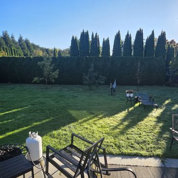 GZ Lawn Maintenance - Our back yard. They did the privicy bushes all around the yard. - Landscaping Near Me