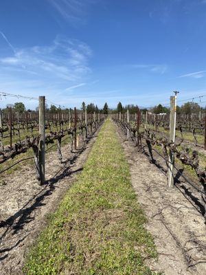 Hanna Winery by null