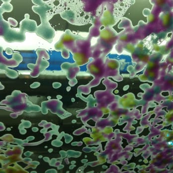 Bp Lubricants - Car wash is sick. Def recommend it! - Gas Stations Near Me - Geneva, Illinois Bp Lubricants - Car wash is sick. Def recommend it! - Gas Stations Near Me - Geneva, Illinois