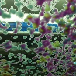 Bp Lubricants - Car wash is sick. Def recommend it!