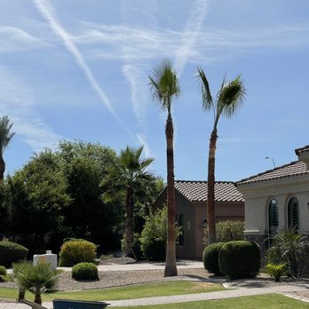 Greenscape Az - Palm trimming & skinned - Landscaping Near Me