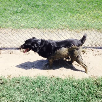 El Pescadero Park - Beware of mud puddles on hot days. You have been warned. - Dog Parks Near Me - Tracy, California