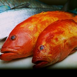 Seaport Seafood Market