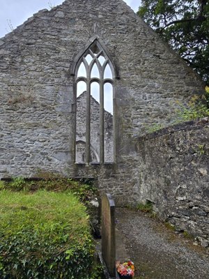 Muckross Abbey by null