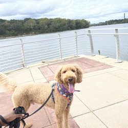 Riverfront Park - "Sitting on the dock of the bay"