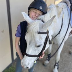 Kelly Maddox Training - Pony