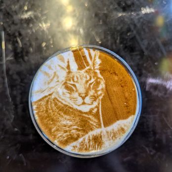 Mexes Cafe - Latte Art - Cafes Near Me - Los Angeles, California Mexes Cafe - Latte Art - Cafes Near Me - Los Angeles, California