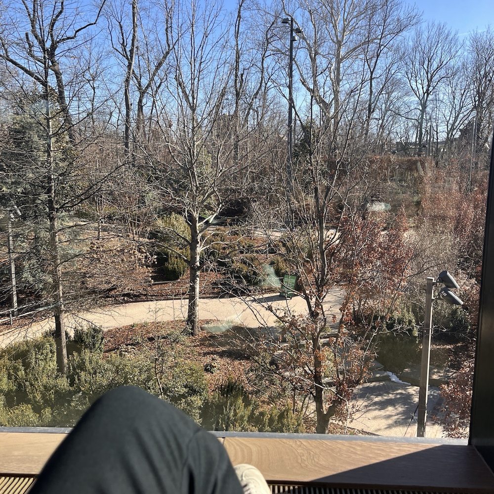 Gathering Place - View from the Quiet room, perfect for reading, people watching, resting. - Parks Near Me - Tulsa, Oklahoma Gathering Place - View from the Quiet room, perfect for reading, people watching, resting. - Parks Near Me - Tulsa, Oklahoma