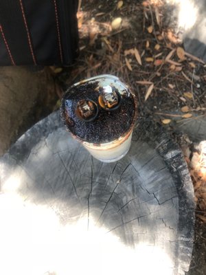 season control heating and air conditioning