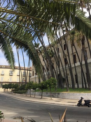 Malaga Museum by null