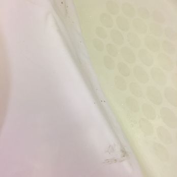 Wyndham Springfield City Centre - Mold on shower curtain - Hotels Near Me - Springfield, Illinois Wyndham Springfield City Centre - Mold on shower curtain - Hotels Near Me - Springfield, Illinois