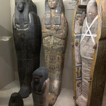 Field Museum - Museums Near Me - Chicago, Illinois