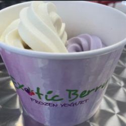 Exotic Berry Frozen Yogurt