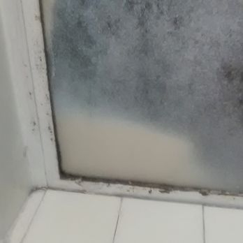 Elmwood Motel - This is mold in the bathroom window - Hotels Near Me - Auburn, California