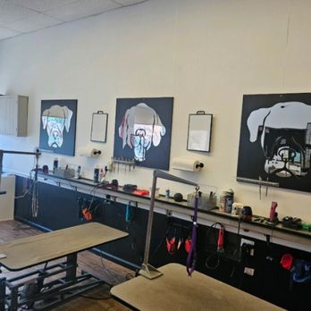 Professional Dog Grooming - Very clean - Pet Groomers Near Me - Greenwich, Connecticut Professional Dog Grooming - Very clean - Pet Groomers Near Me - Greenwich, Connecticut