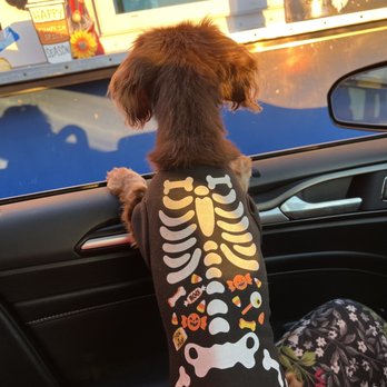 Waterman Joe Coffee - Little Dog says thanks for the treats! - Coffee & Tea Near Me - Stevensville, Maryland Waterman Joe Coffee - Little Dog says thanks for the treats! - Coffee & Tea Near Me - Stevensville, Maryland