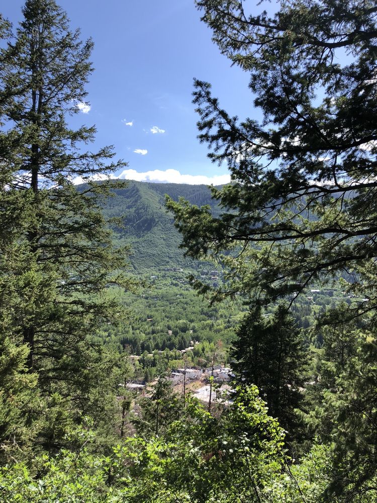 Ute Trail Logo