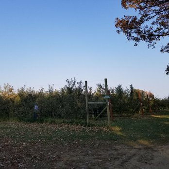 Royal Oak Farm Orchard - Fruits & Veggies Near Me - Harvard, Illinois