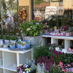 Die Blume - Creativwerkstatt