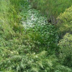 Nayanquing Point State Wildlife Area