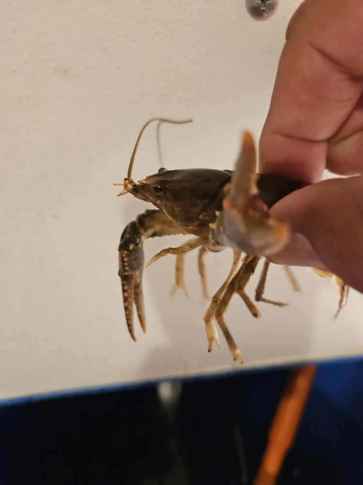 HOOKEM BAIT AND TACKLE Updated August 2024 1910 Marina Dr, Windsor