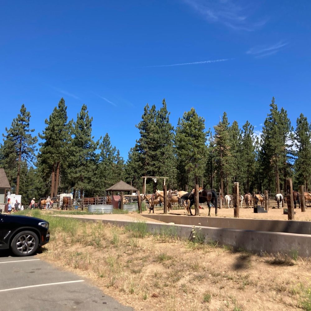 Zephyr Cove Stables - Horses - Horseback Riding Near Me - Zephyr Cove, Nevada Zephyr Cove Stables - Horses - Horseback Riding Near Me - Zephyr Cove, Nevada