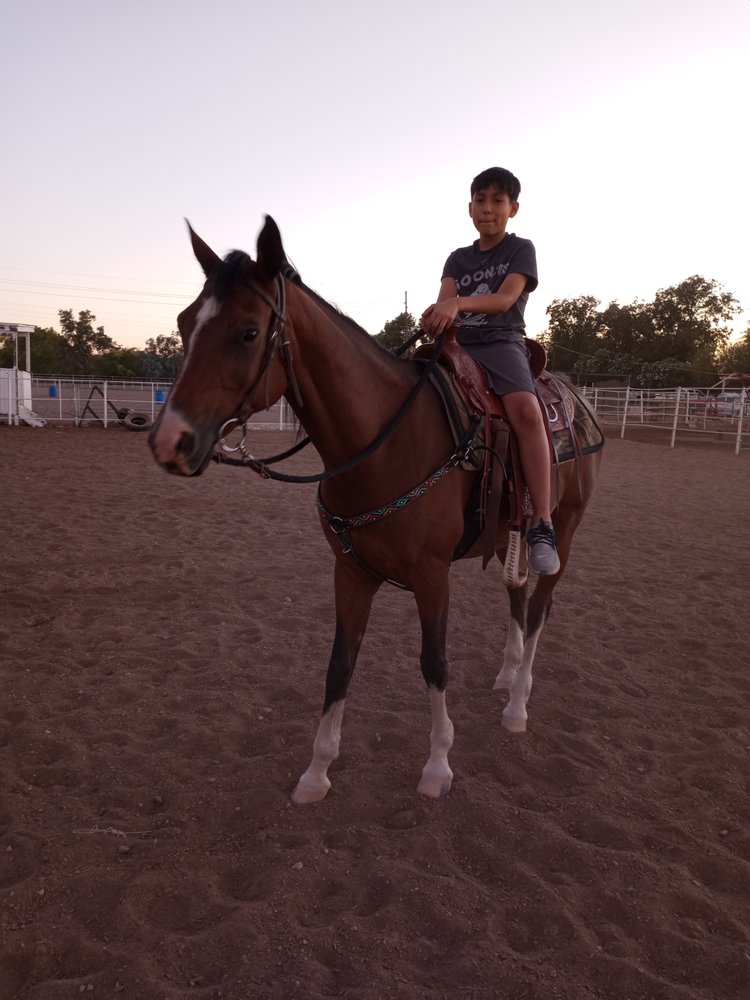 Sunrise Farms - equestrian in Mesa, AZ