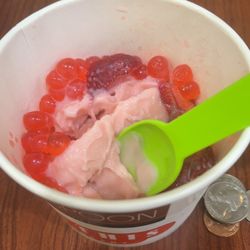 Bamboo Spoon Frozen Yogurt Cafe