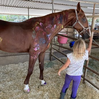 Liz Bolton Stables - The summer camp they have, one of the girls painting a horse - Horseback Riding Near Me - San Marcos, California Liz Bolton Stables - The summer camp they have, one of the girls painting a horse - Horseback Riding Near Me - San Marcos, California