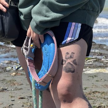 Baron Art Tattoo Studio - Inspo - Tattoo Near Me - Berkeley, California