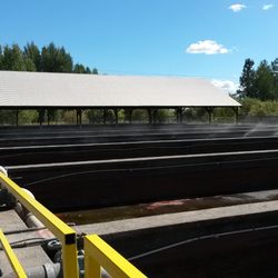 Klamath Fish Hatchery - Raceways when you drive in