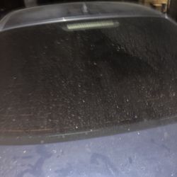 Ofelias Window Tint