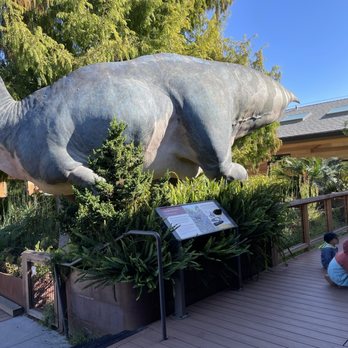 PALO ALTO JUNIOR MUSEUM & ZOO - Updated January 2026 - 750 Photos & 381