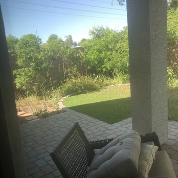 Pristine Green - Before- lots of weeds and overgrown bushes - Tree Services Near Me - Gilbert, Arizona