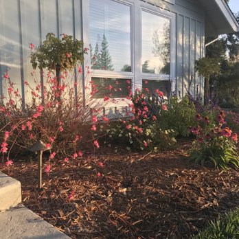 Custom Plantings - Landscaping Near Me